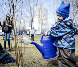 А хочешь знать, почему на улицах грязно, ямы на дорогах и кругом бардак?